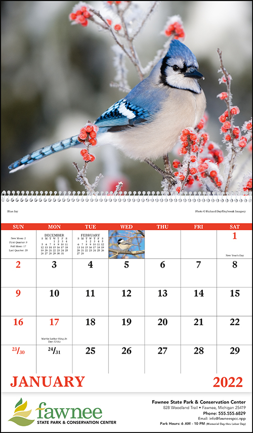Birds of North America Spiral Bound Wall Calendar for 2022